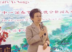 办好“迪拜春晚” 弘扬中华文化